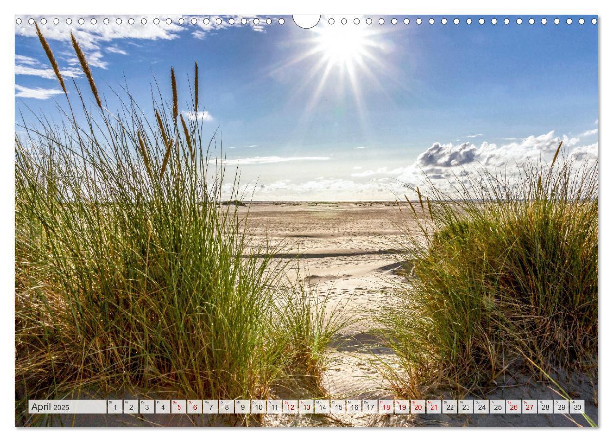 Bild: 9783435080885 | BORKUM-LIEBE (Wandkalender 2025 DIN A3 quer), CALVENDO Monatskalender