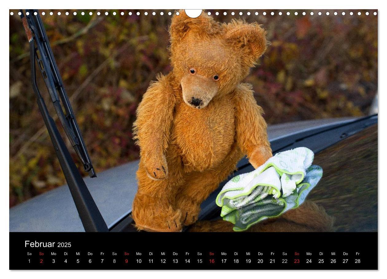 Bild: 9783435674084 | Teddy Basse, Fortsetzung... (Wandkalender 2025 DIN A3 quer),...