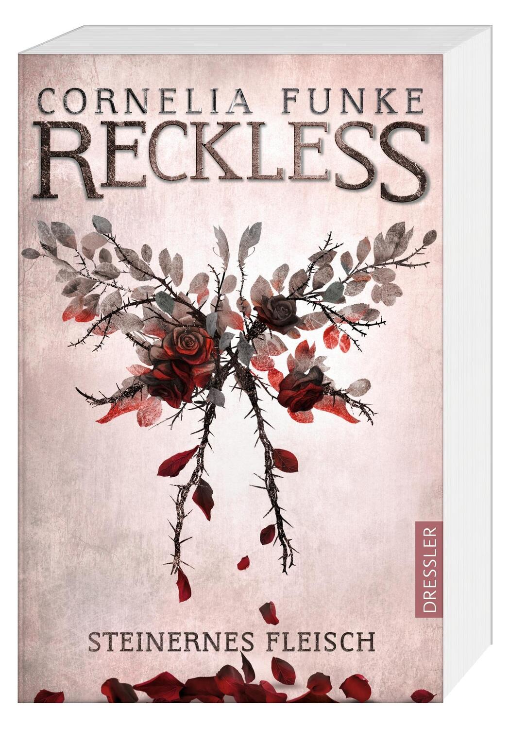 Cover: 9783791500959 | Reckless 1. Steinernes Fleisch | Cornelia Funke (u. a.) | Taschenbuch