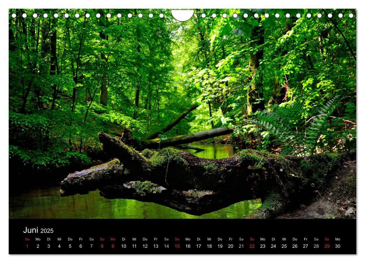 Bild: 9783435641734 | Wasserwandern in Mecklenburg-Vorpommern (Wandkalender 2025 DIN A4...