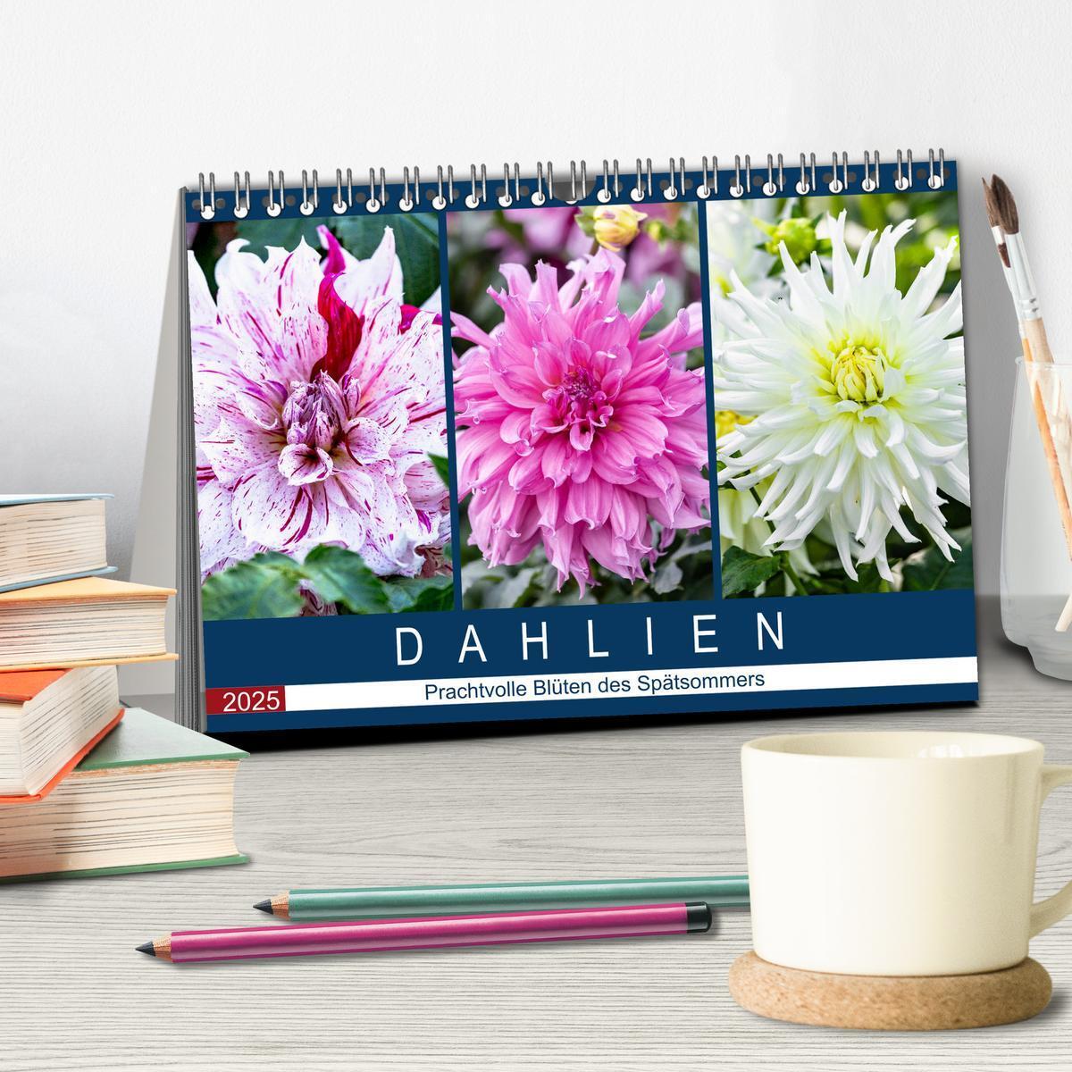 Bild: 9783435298815 | Dahlien - Prachtvolle Blüten des Spätsommers (Tischkalender 2025...