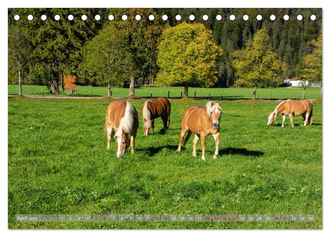 Bild: 9783435227136 | Achensee - im Herzen der Tiroler Alpen (Tischkalender 2025 DIN A5...