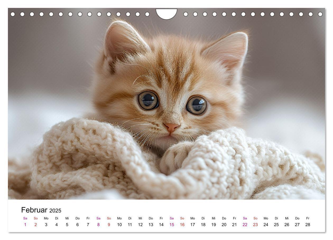 Bild: 9783457218242 | Katzenzauber - Samtpfoten im Jahreslauf (Wandkalender 2025 DIN A4...