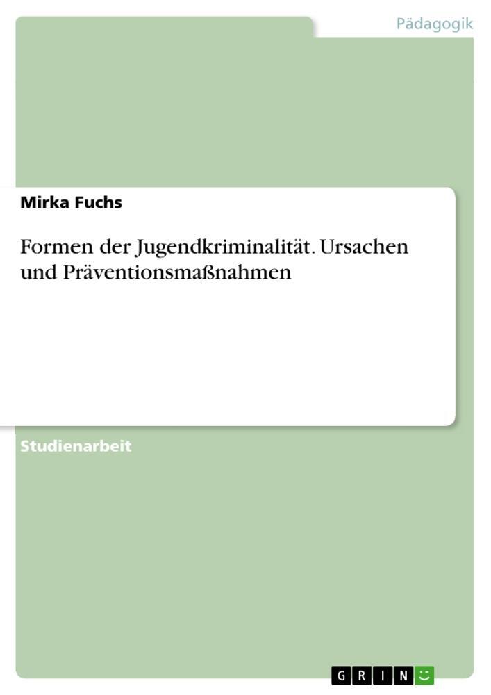 Cover: 9783640731084 | Formen der Jugendkriminalität. Ursachen und Präventionsmaßnahmen