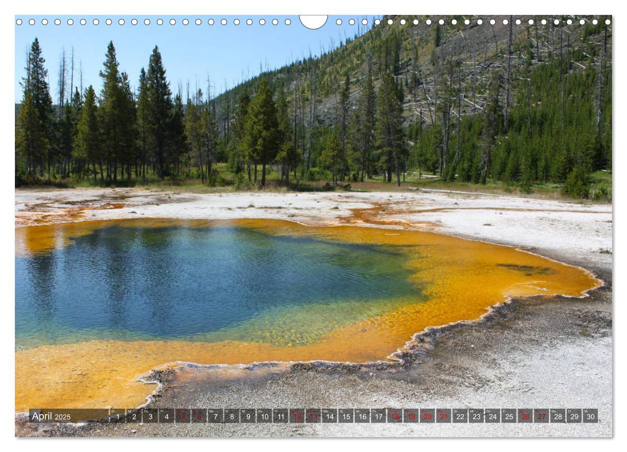 Bild: 9783435386819 | Farben des Yellowstone National Park 2025 (Wandkalender 2025 DIN A3...