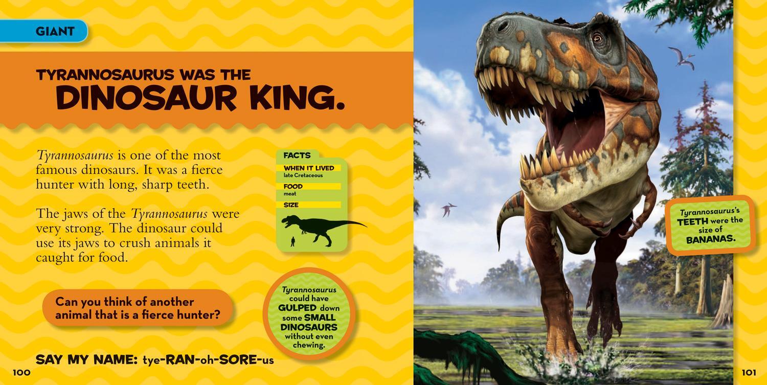 Bild: 9781426308468 | National Geographic Little Kids First Big Book of Dinosaurs | Hughes