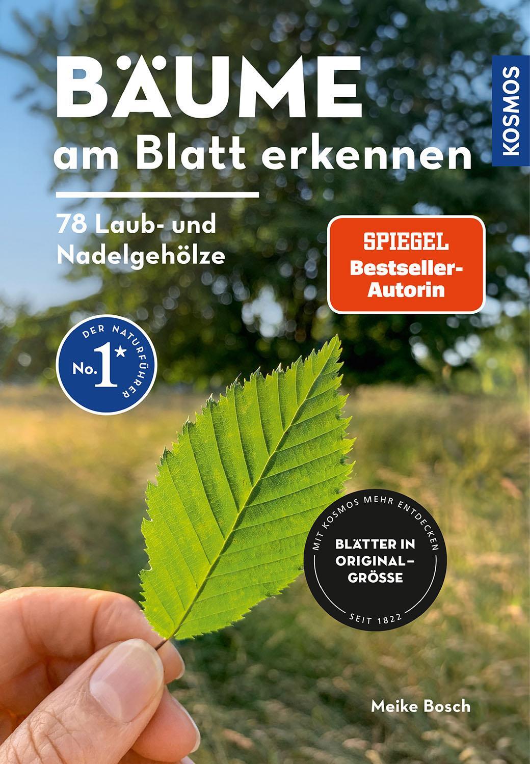 Cover: 9783440179802 | Bäume am Blatt erkennen - 78 Laub- und Nadelgehölze. Blätter in...