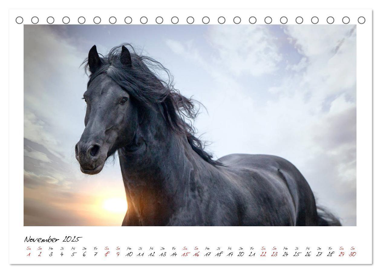 Bild: 9783435234899 | Friesen - stolze Giganten (Tischkalender 2025 DIN A5 quer),...