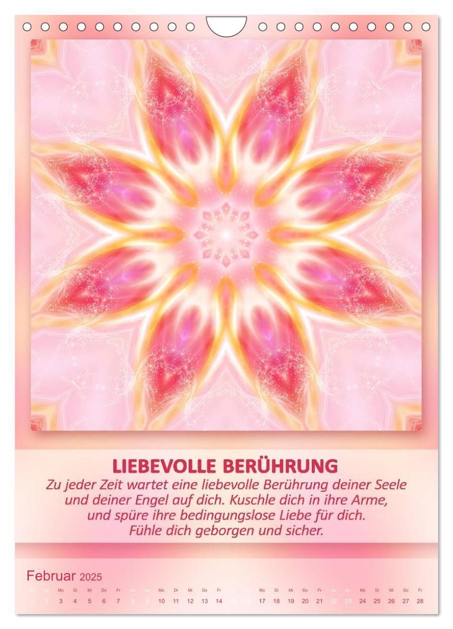 Bild: 9783457086469 | Light Energy Mandalas - Kalender - Vol. 1 (Wandkalender 2025 DIN A4...