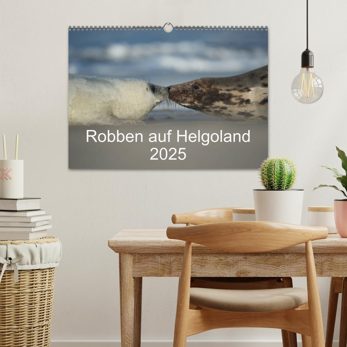 Bild: 9783435718733 | Robben auf Helgoland 2025 (Wandkalender 2025 DIN A3 quer), CALVENDO...