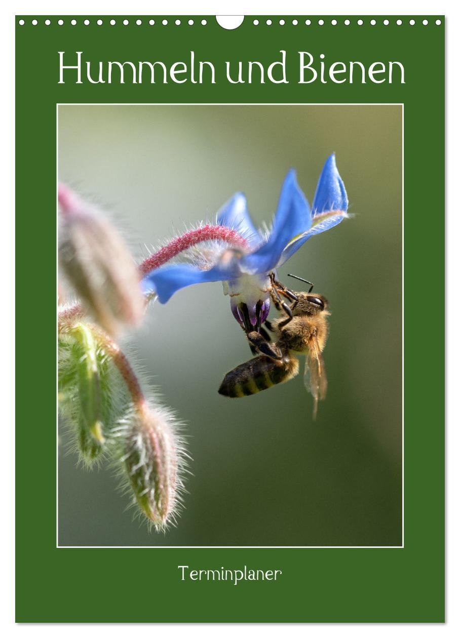 Cover: 9783435879168 | Hummeln und Bienen Terminplaner (Wandkalender 2025 DIN A3 hoch),...