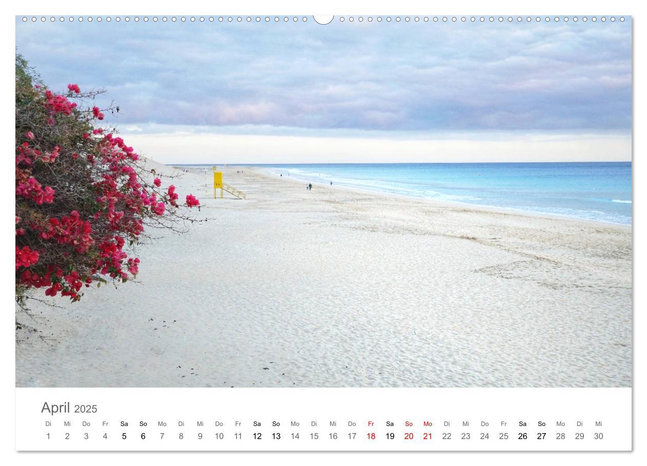 Bild: 9783435218042 | Fuerteventura - die Wüsteninsel der Kanaren (Wandkalender 2025 DIN...