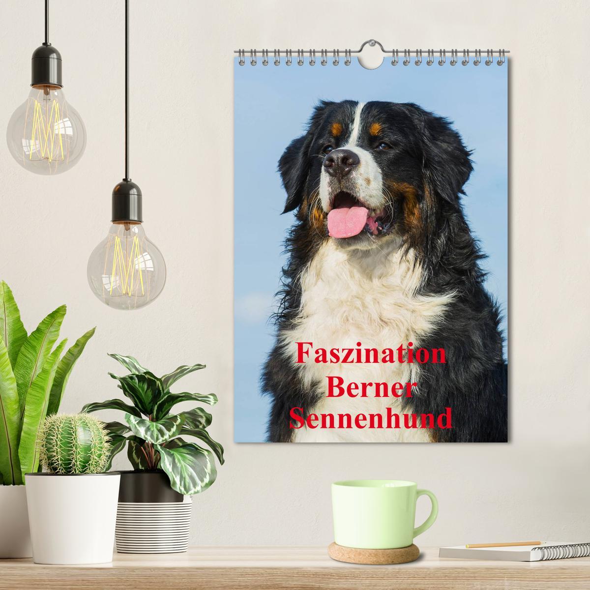 Bild: 9783457056325 | Faszination Berner Sennenhund (Wandkalender 2025 DIN A4 hoch),...