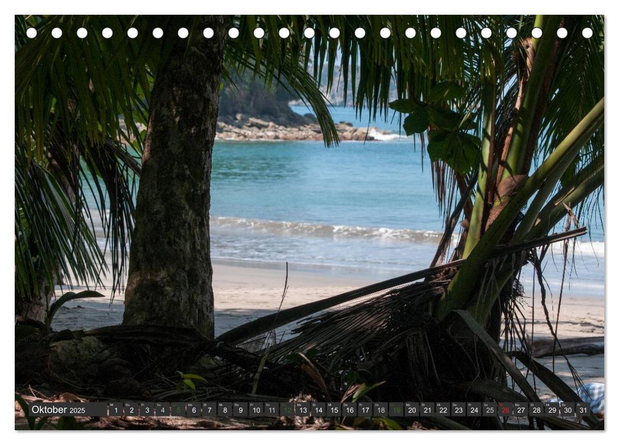 Bild: 9783435656127 | COSTA RICA - PURA VIDA (Tischkalender 2025 DIN A5 quer), CALVENDO...