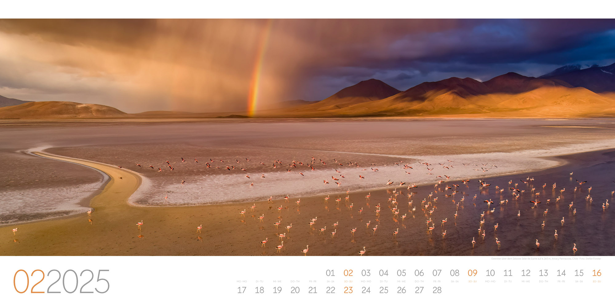 Bild: 9783838435312 | Panorama - Stefan Forster Kalender 2025 | Stefan Forster (u. a.)