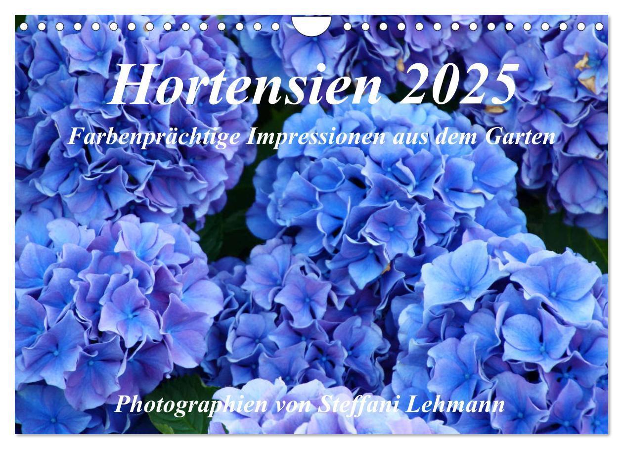 Cover: 9783435693504 | Hortensien 2025. Farbenprächtige Impressionen aus dem Garten...