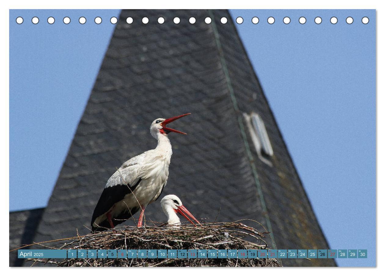 Bild: 9783435161577 | Hannoversches Wendland Verträumtes Landleben (Tischkalender 2025...