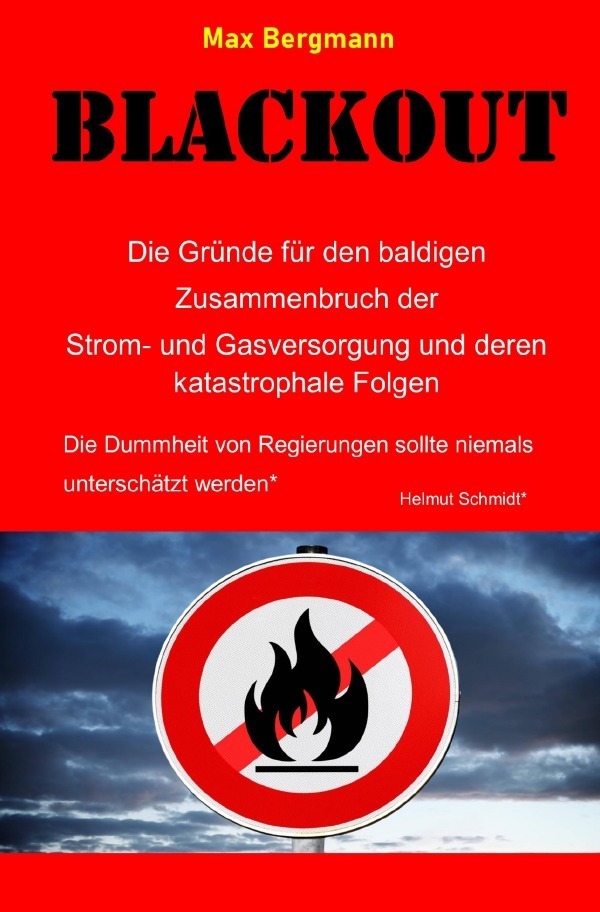 Cover: 9783756555499 | BLACKOUT Die Gründe für den baldigen Zusammenbruch der Strom- und...