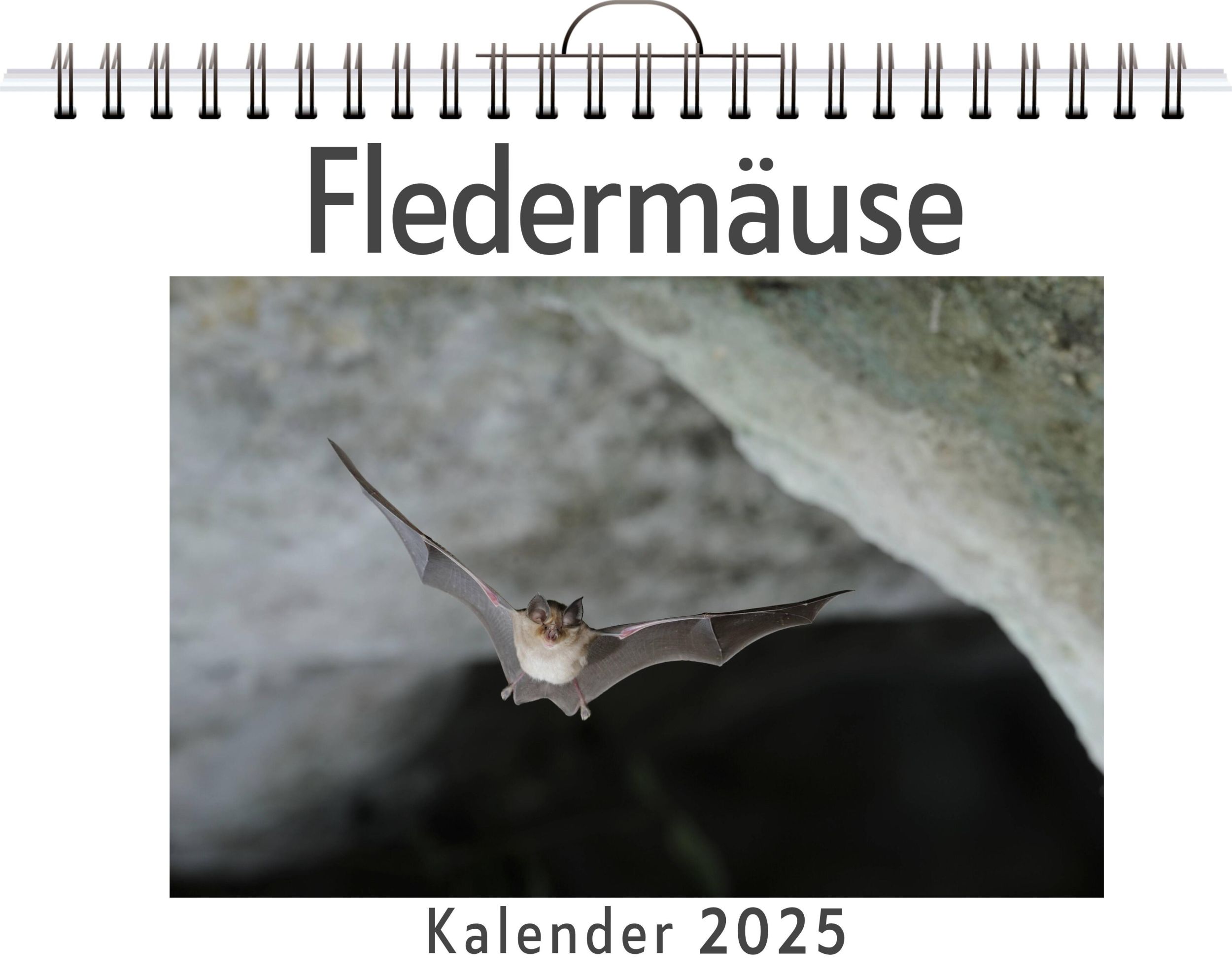 Cover: 9783759124944 | Fledermäuse | Theo Schubert | Kalender | Kalender | 14 S. | Deutsch