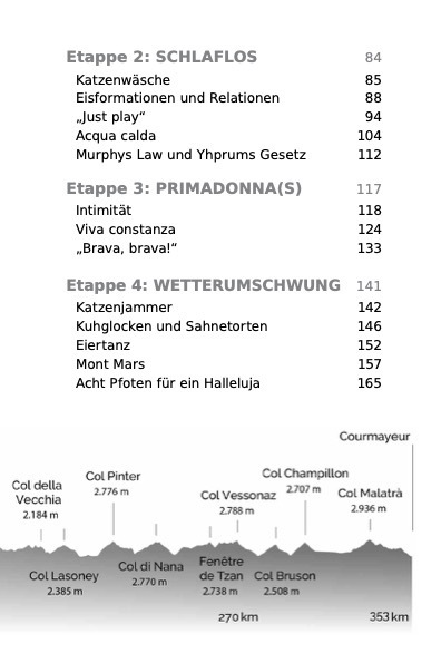 Bild: 9783903376212 | Trail and Error | Der Weg ist nicht das Ziel | Annabel Müller | Buch