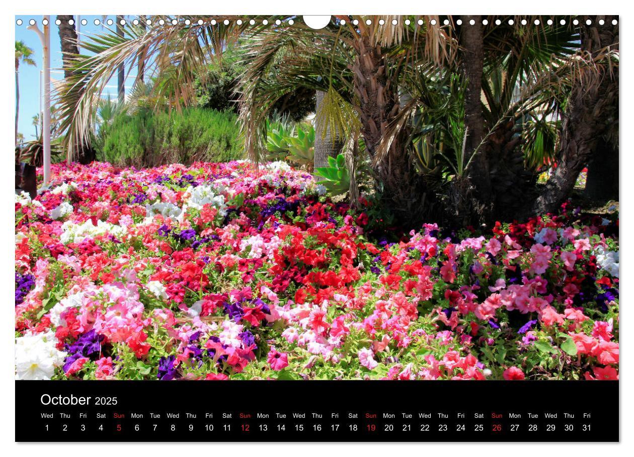 Bild: 9781325950720 | Estepona Costa Del Sol (Wall Calendar 2025 DIN A3 landscape),...