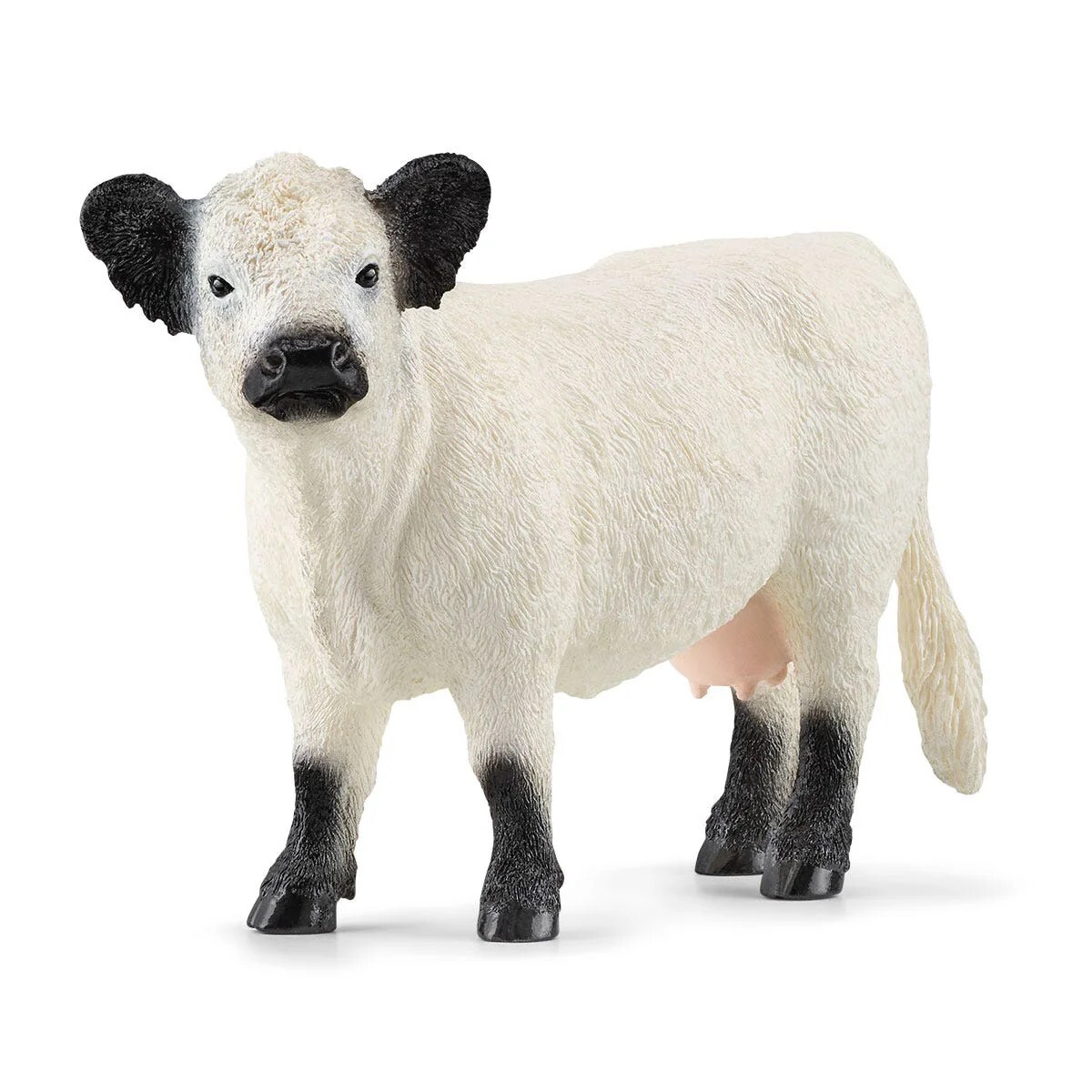 Cover: 4059433863993 | Schleich 13960 - Farm World, Galloway Kuh, Tierfigur, Länge: 14 cm