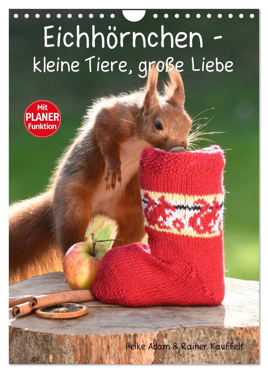 Cover: 9783435985302 | Eichhörnchen - kleine Tiere, große Liebe (Wandkalender 2025 DIN A4...