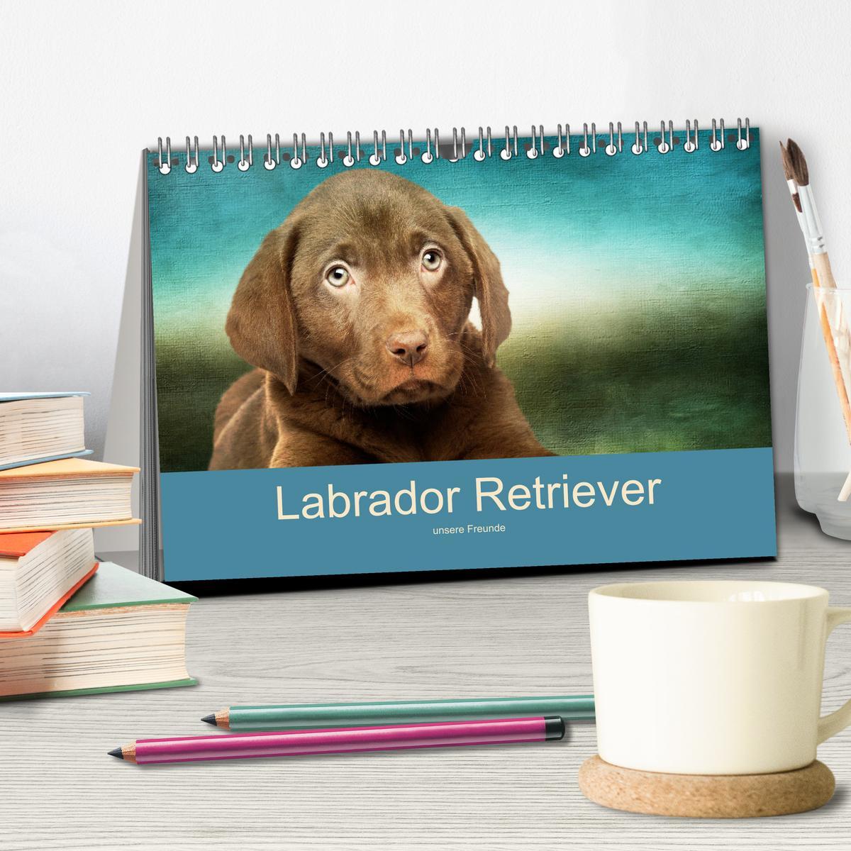 Bild: 9783435160242 | Labrador Retriever unsere Freunde (Tischkalender 2025 DIN A5 quer),...