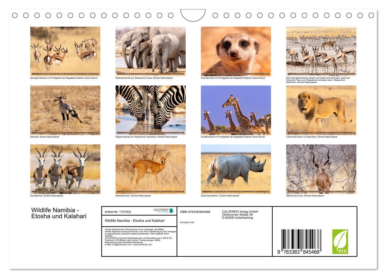 Bild: 9783383845468 | Wildlife Namibia - Etosha und Kalahari (Wandkalender 2025 DIN A4...