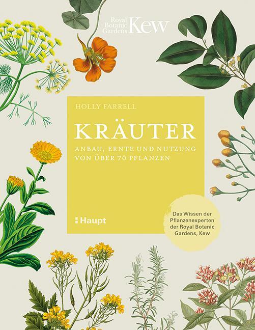 Cover: 9783258081373 | Kräuter | Anbau, Ernte und Nutzung von über 70 Pflanzen | Farrell