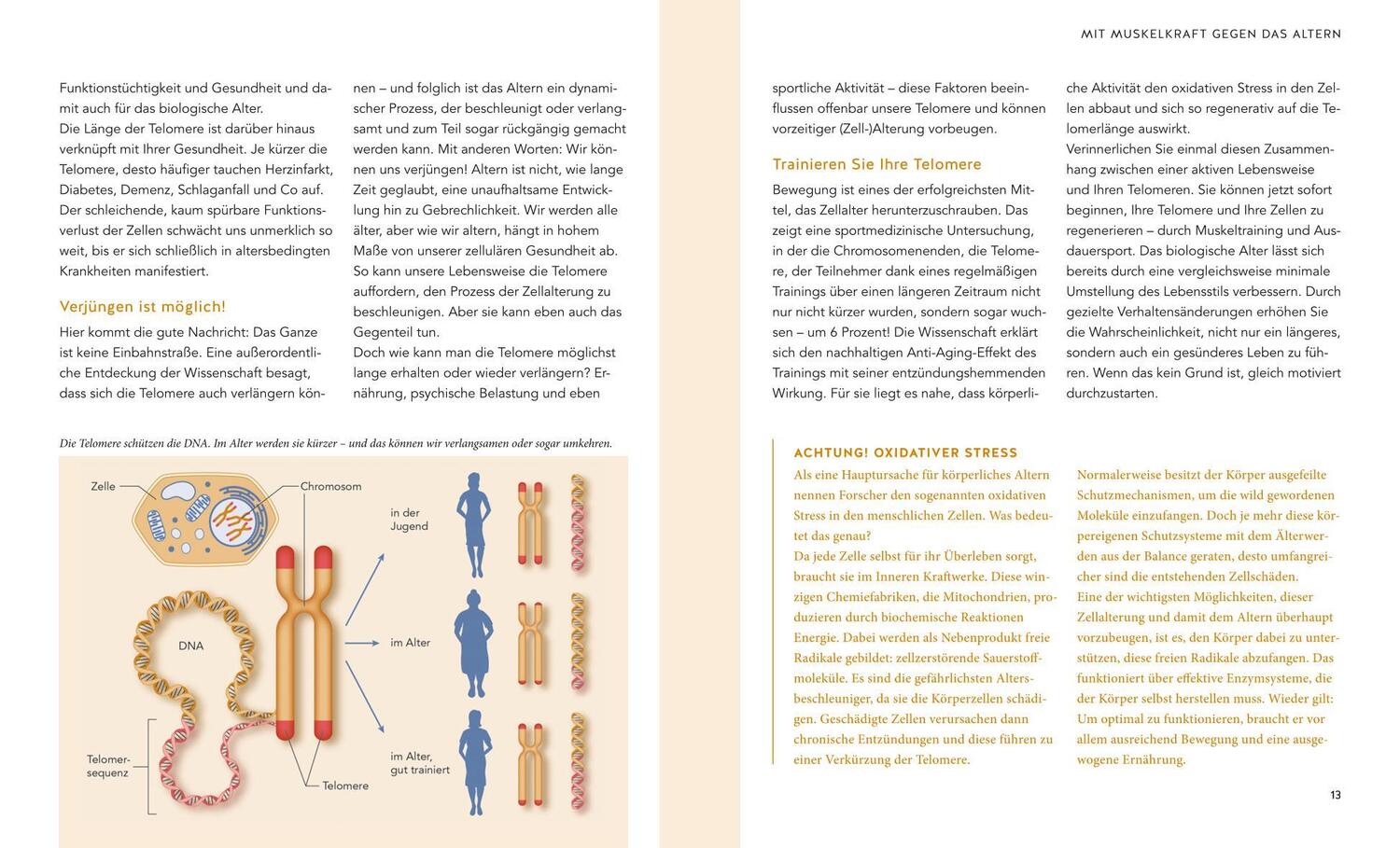 Bild: 9783833875519 | Mit 50 fitter als mit 30 | Thorsten Tschirner | Taschenbuch | 128 S.