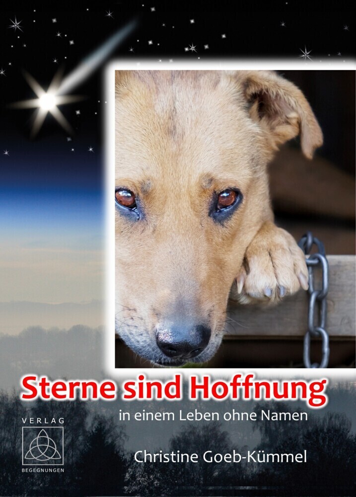 Cover: 9783946723349 | Sterne sind Hoffnung | ... in einem Leben ohne Namen | Goeb-Kümmel