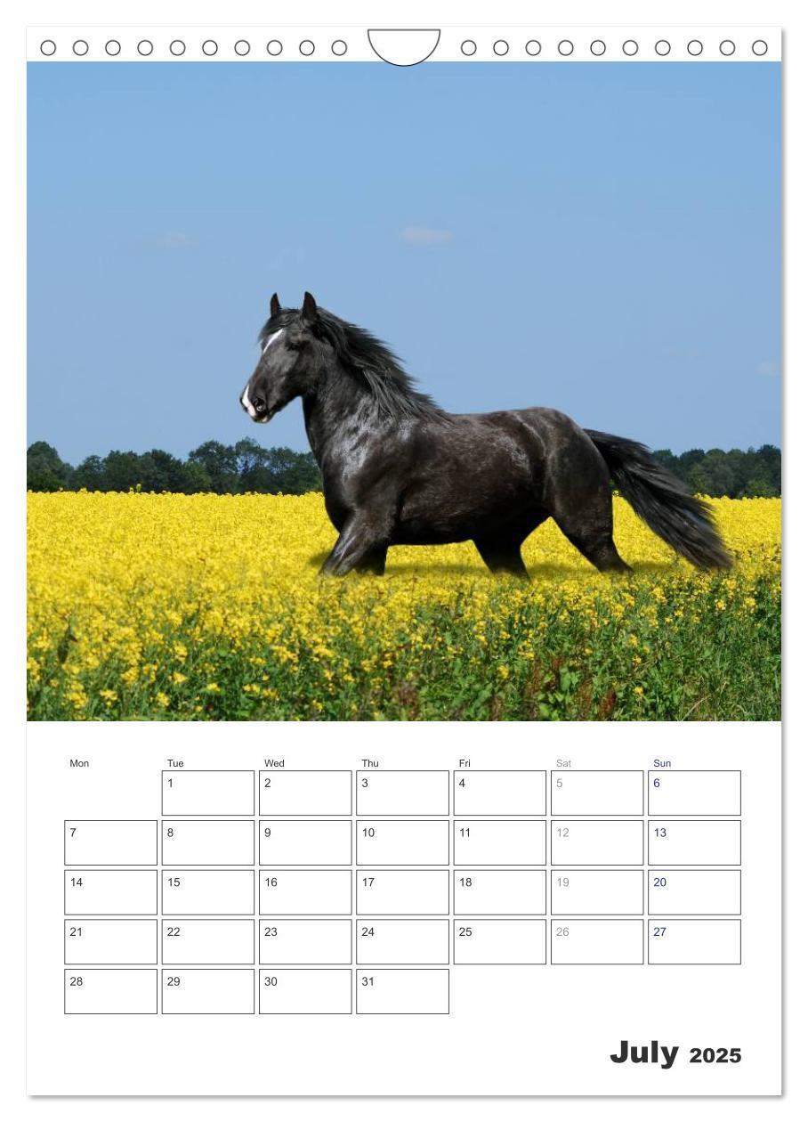 Bild: 9781325973057 | Shire Horses The Gentle Giants (Wall Calendar 2025 DIN A4...