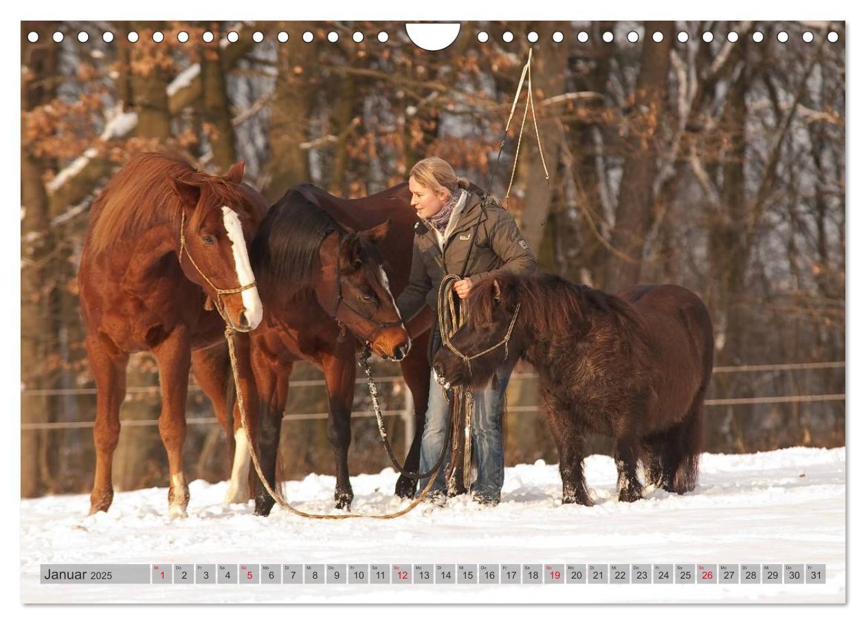 Bild: 9783435594160 | Natural Horsemanship - Partnerschaft mit Pferden (Wandkalender 2025...