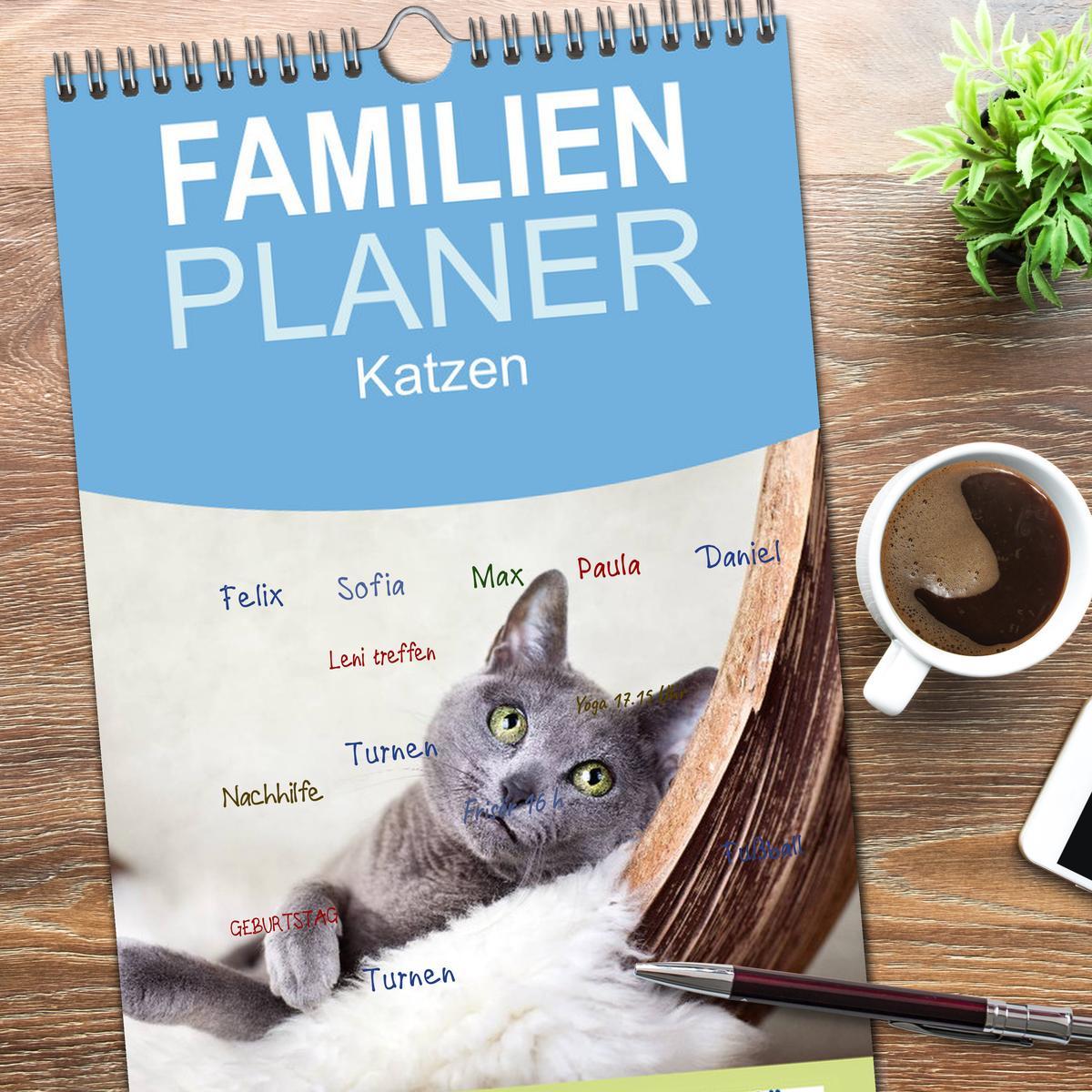 Bild: 9783457111178 | Familienplaner 2025 - Katzen mit 5 Spalten (Wandkalender, 21 x 45...