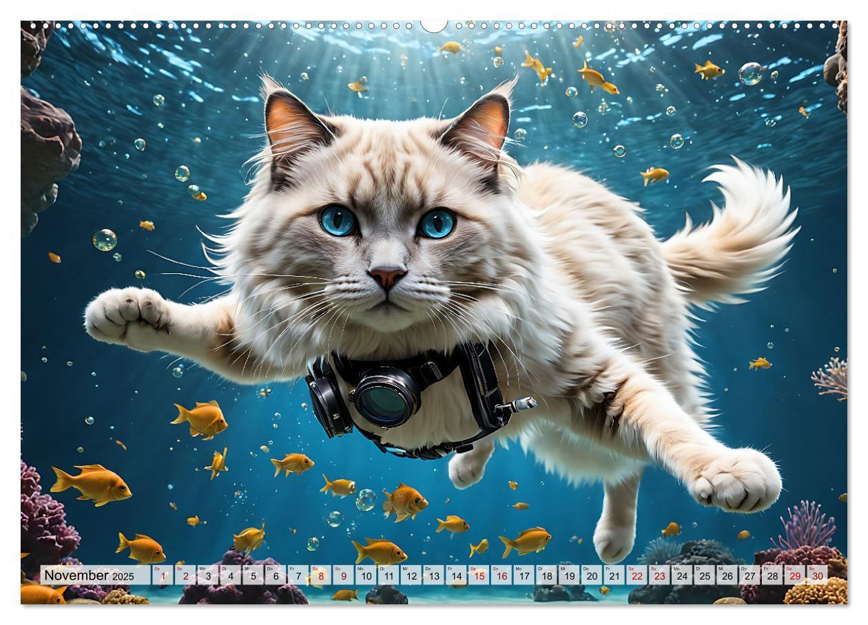 Bild: 9783383843433 | Katzen unter Wasser (Wandkalender 2025 DIN A2 quer), CALVENDO...