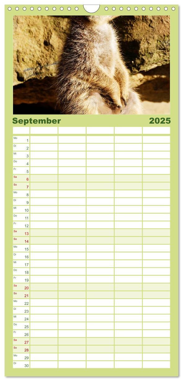 Bild: 9783457109656 | Familienplaner 2025 - Erdmännchen mit 5 Spalten (Wandkalender, 21 x...