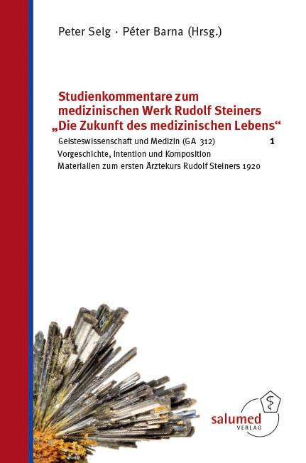 Cover: 9783928914352 | Studienkommentare zum medizinischen Werk Rudolf Steiners "Die...