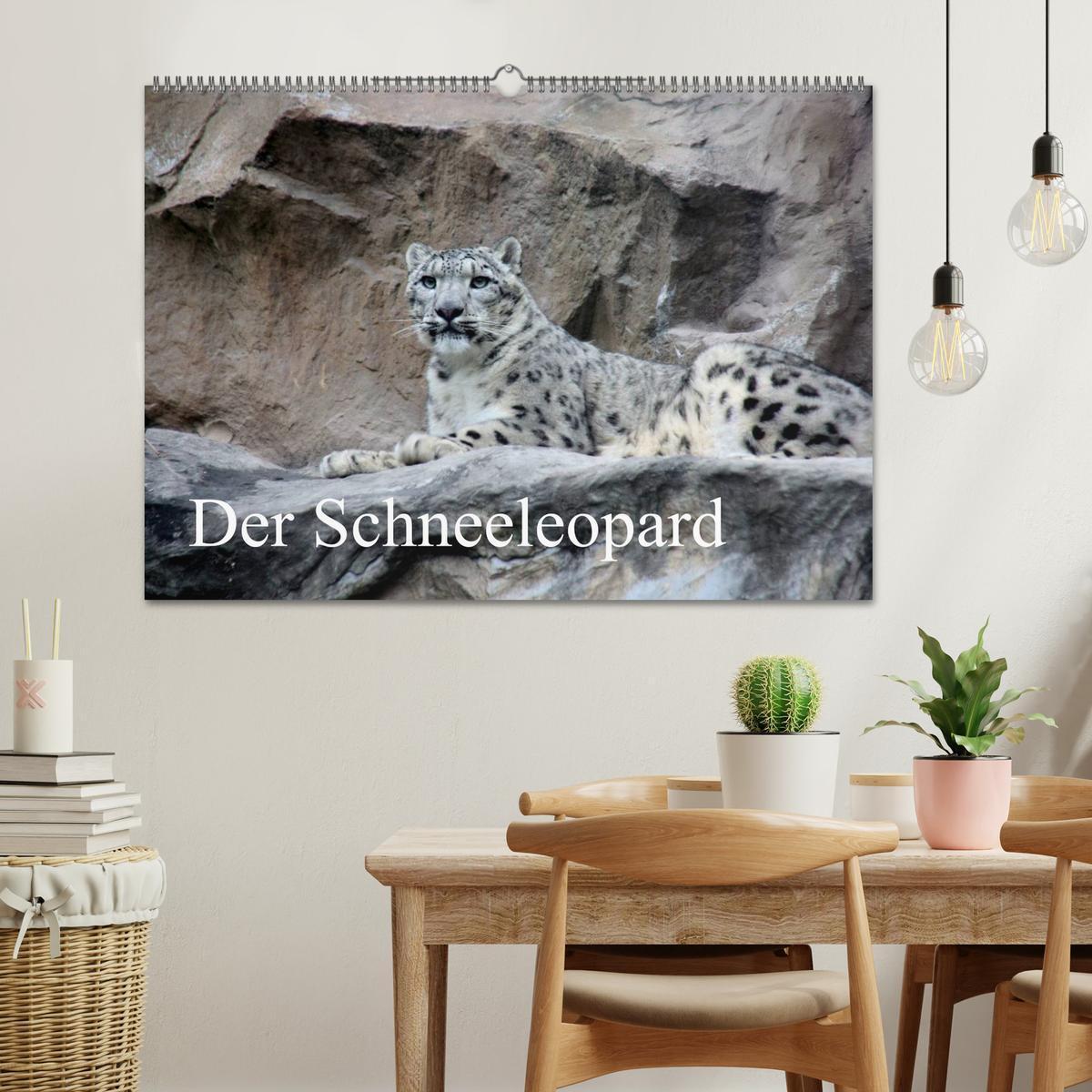 Bild: 9783435719761 | Der Schneeleopard (Wandkalender 2025 DIN A2 quer), CALVENDO...