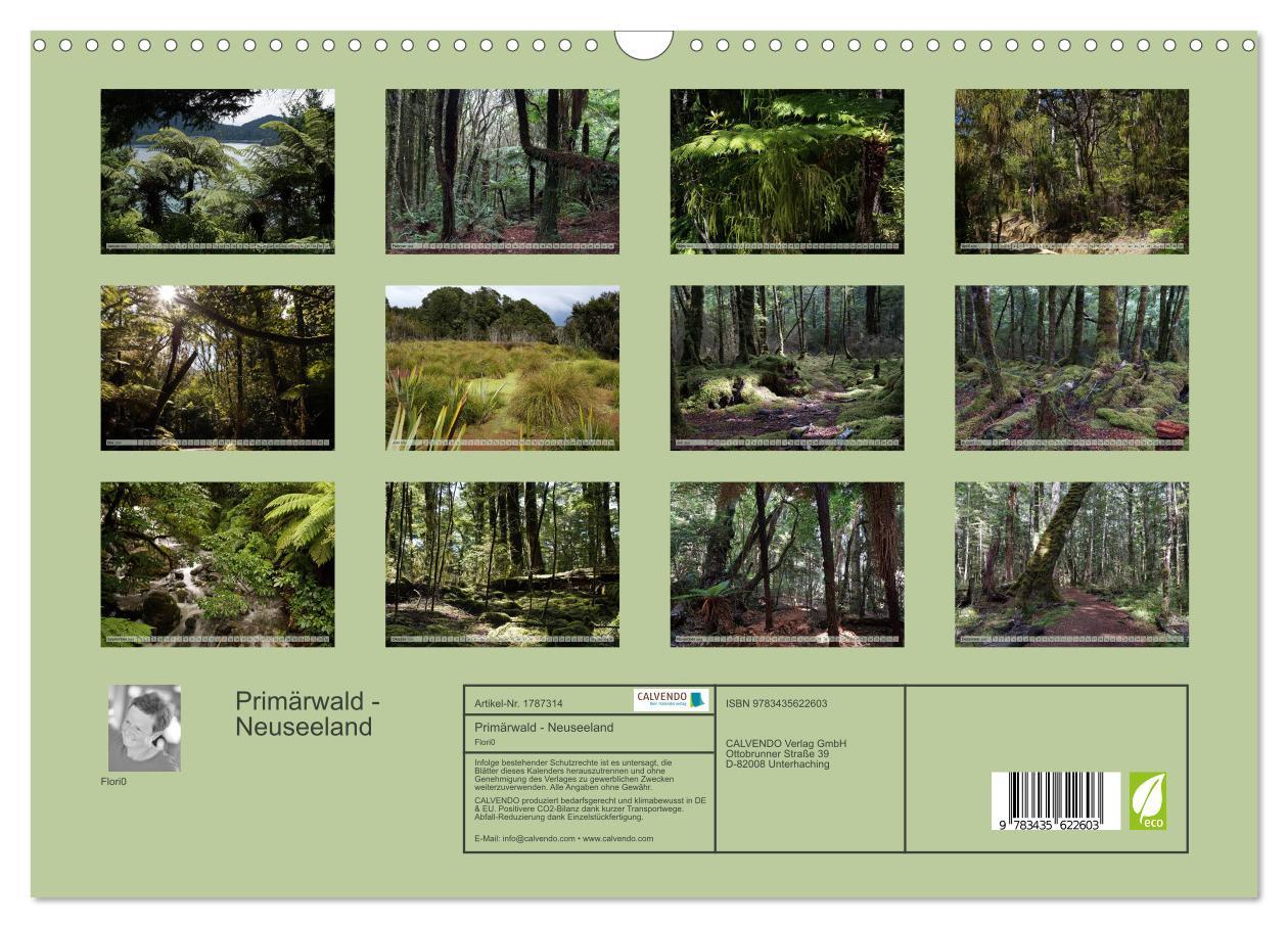 Bild: 9783435622603 | Primärwald - Neuseeland (Wandkalender 2025 DIN A3 quer), CALVENDO...