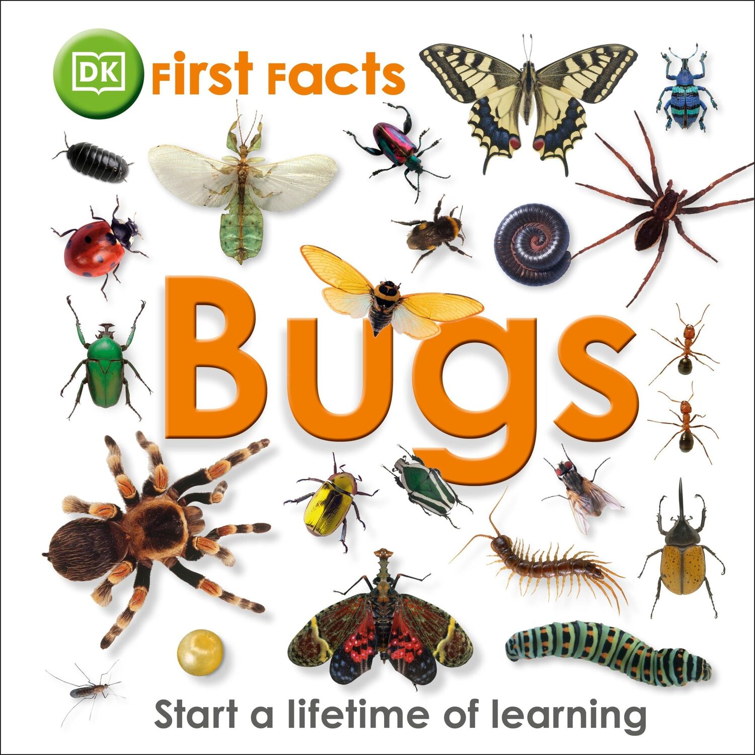 Cover: 9781405368131 | First Facts Bugs | Dk | Buch | 34 S. | Englisch | 2011