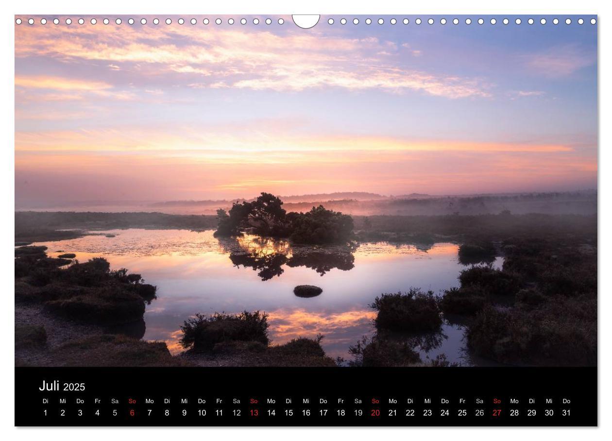 Bild: 9783435475964 | New Forest - England (Wandkalender 2025 DIN A3 quer), CALVENDO...