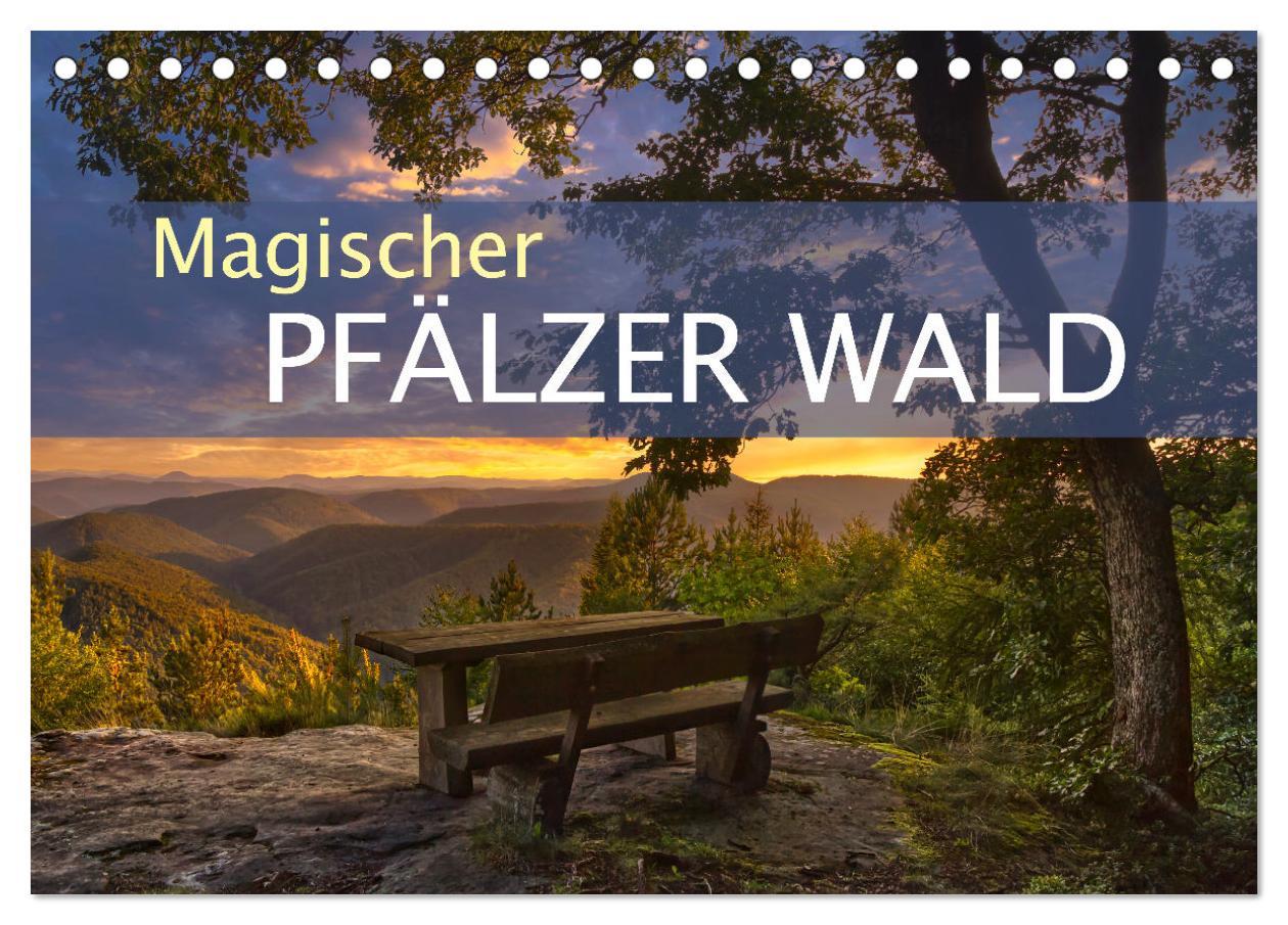 Cover: 9783383938634 | Magischer Pfälzer Wald (Tischkalender 2025 DIN A5 quer), CALVENDO...