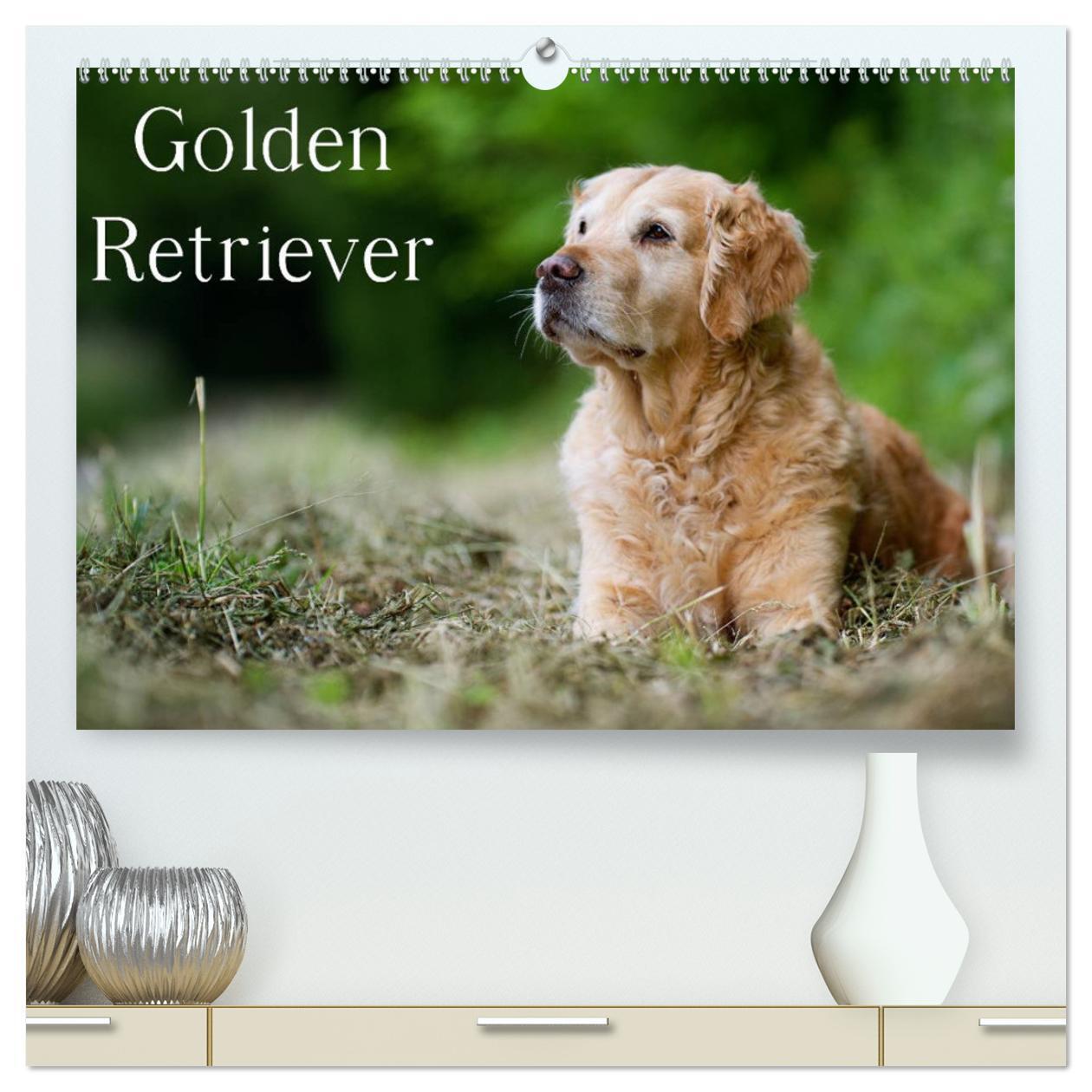 Cover: 9783435723942 | Golden Retriever (hochwertiger Premium Wandkalender 2025 DIN A2...