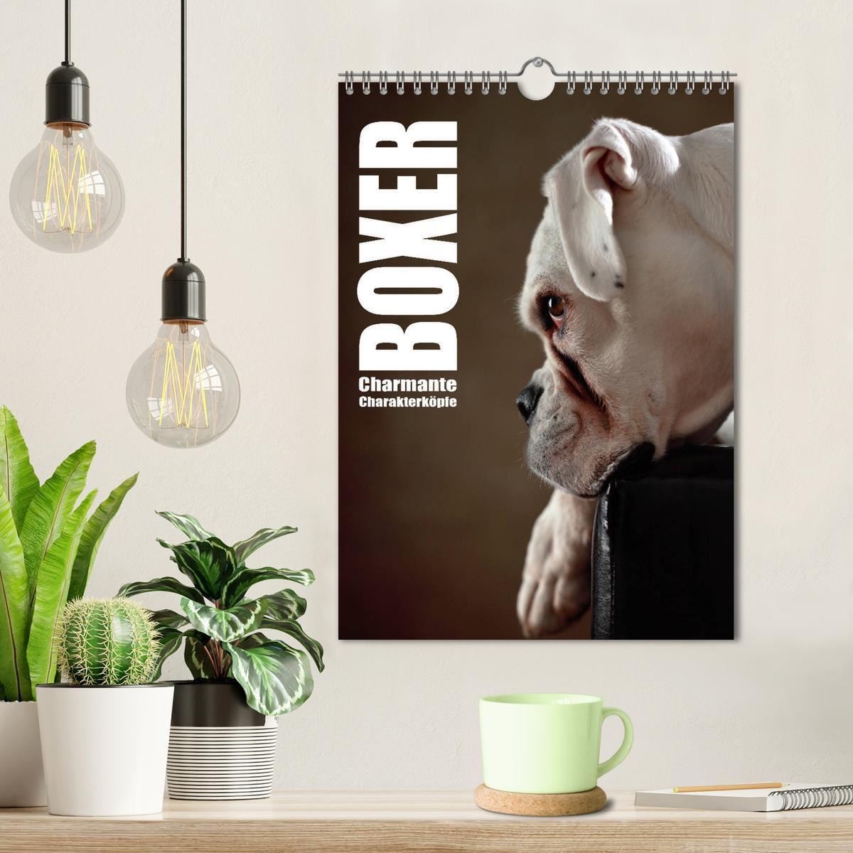 Bild: 9783457000533 | Boxer - Charmante Charakterköpfe (Wandkalender 2025 DIN A4 hoch),...