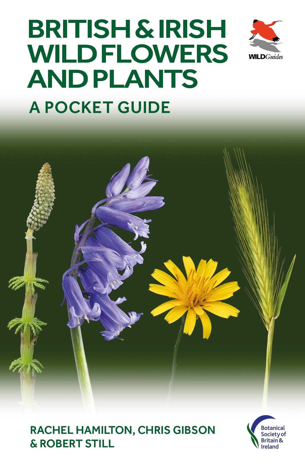 Cover: 9780691245409 | British and Irish Wild Flowers and Plants | A Pocket Guide | Buch