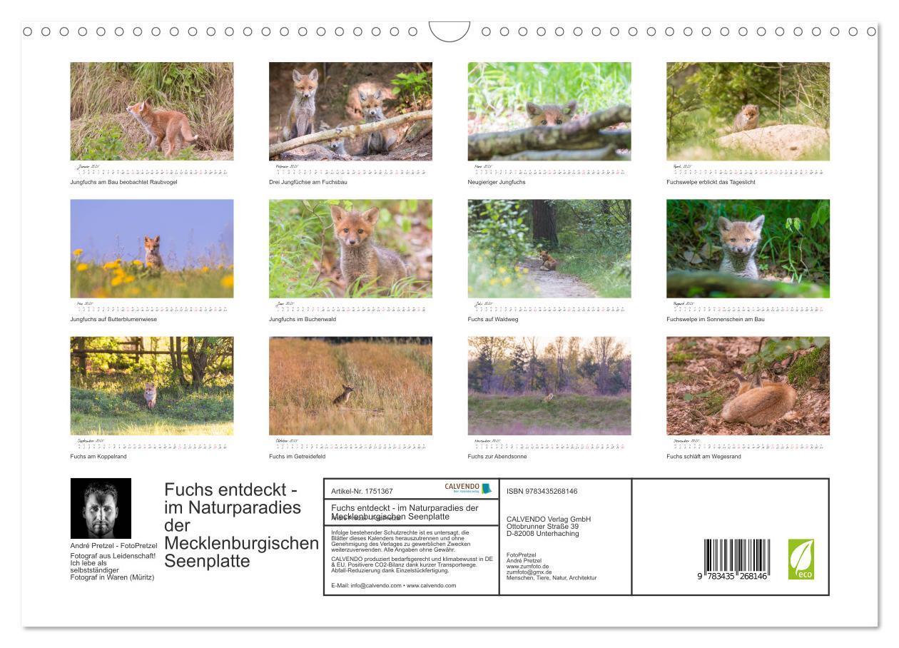 Bild: 9783435268146 | Fuchs entdeckt - im Naturparadies der Mecklenburgischen Seenplatte...