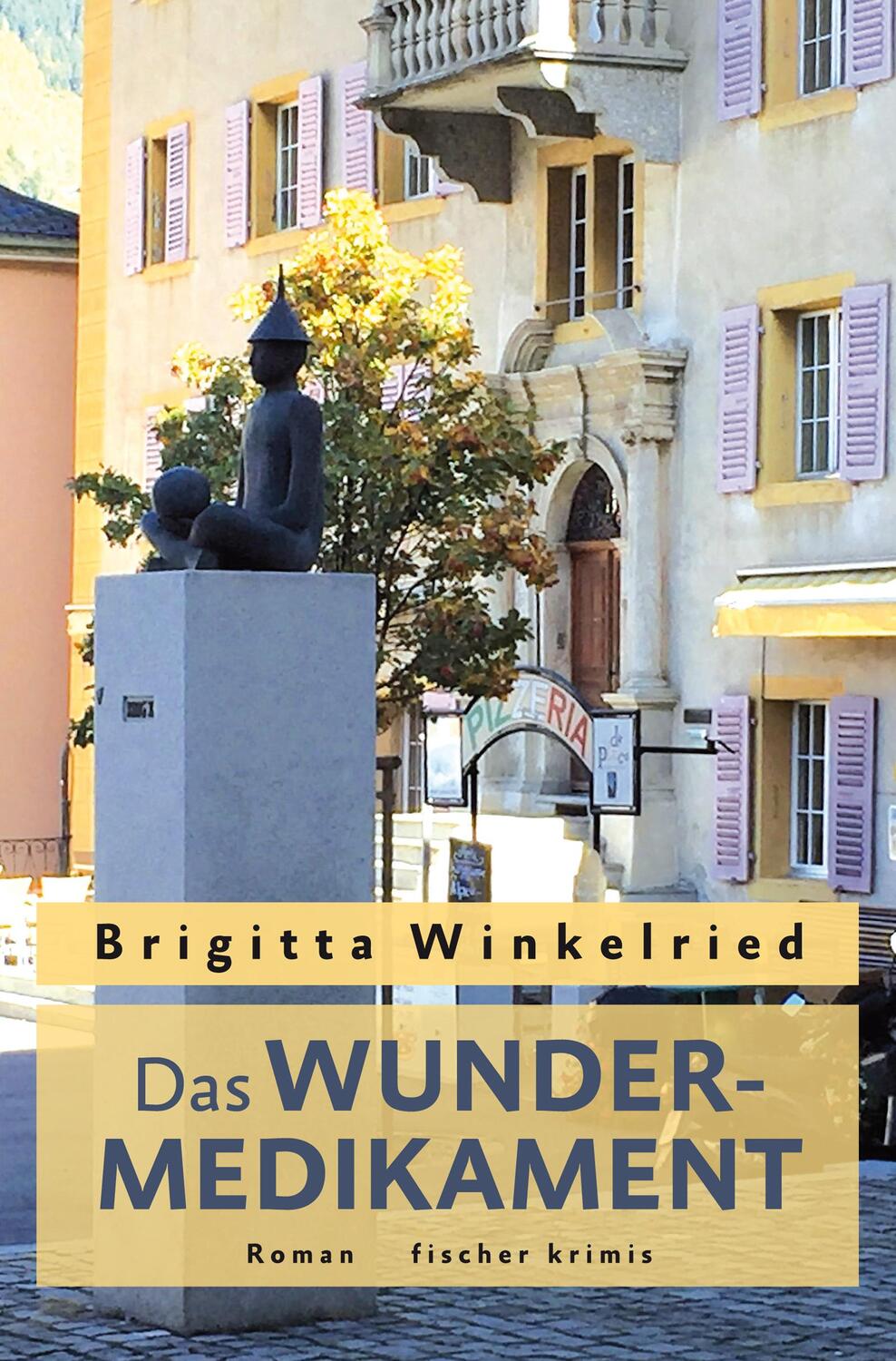 Cover: 9783842246508 | Das Wundermedikament | Brigitta Winkelried | Taschenbuch | 296 S.