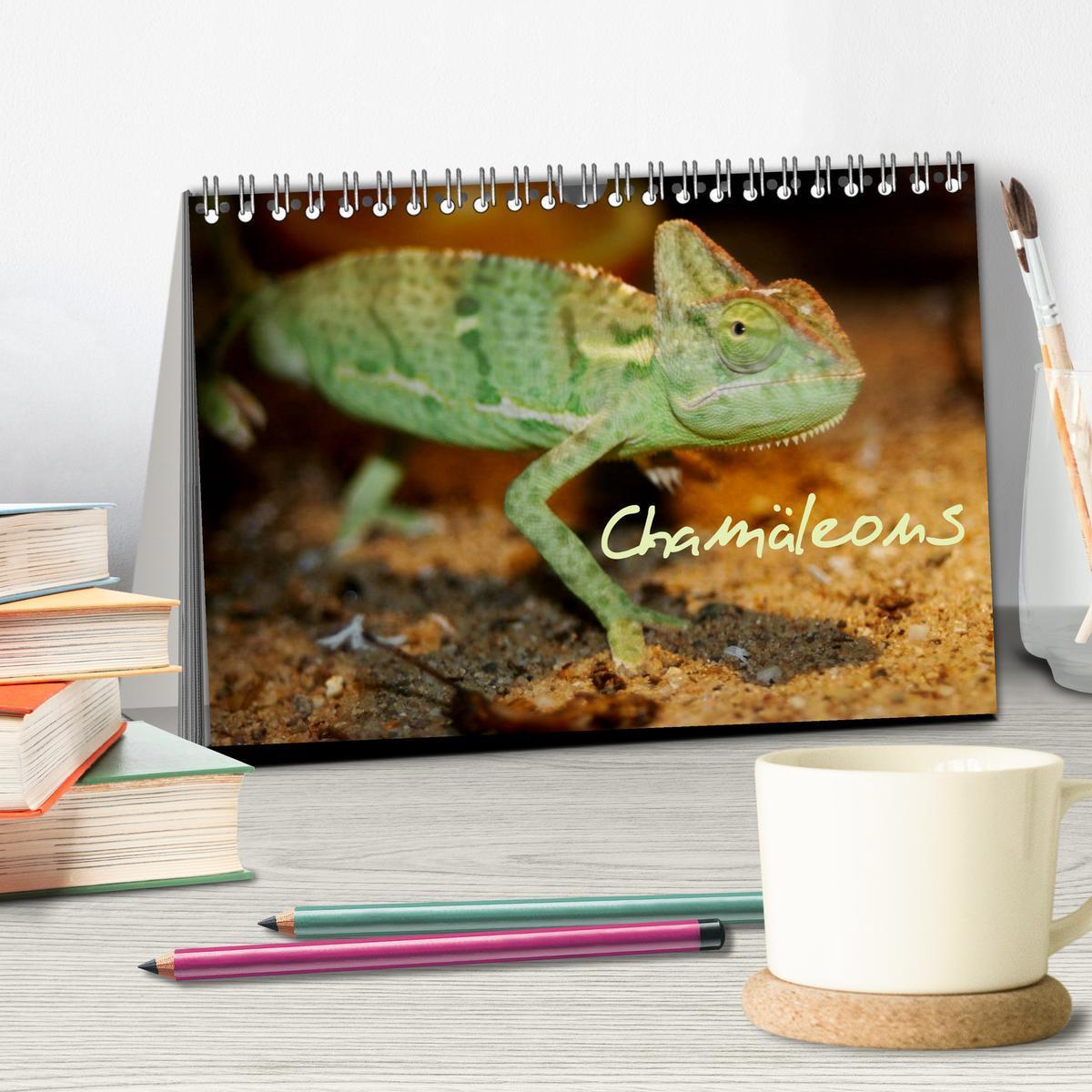 Bild: 9783435787166 | Chamäleons (Tischkalender 2025 DIN A5 quer), CALVENDO Monatskalender