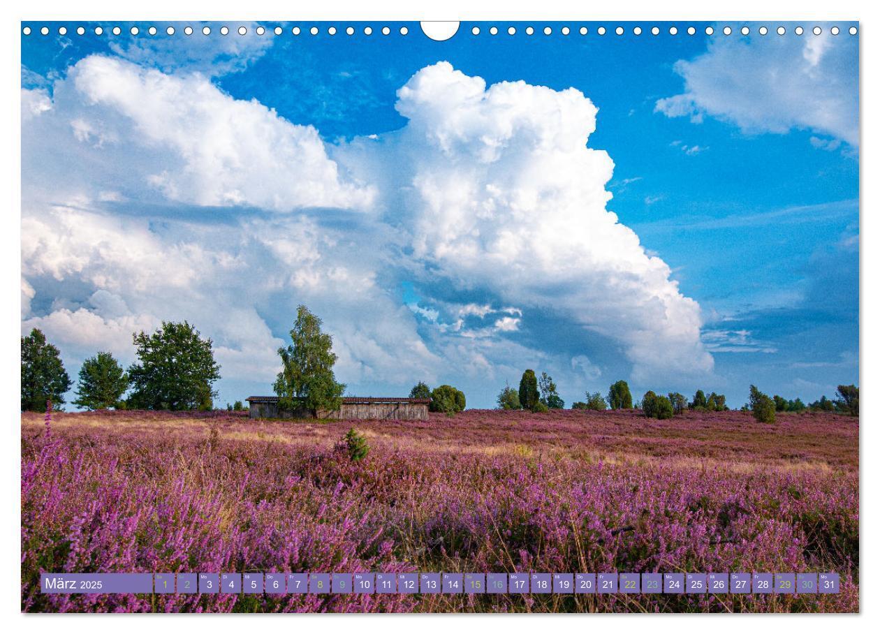 Bild: 9783383984143 | Die Farbenpracht der Lüneburger Heide (Wandkalender 2025 DIN A3...